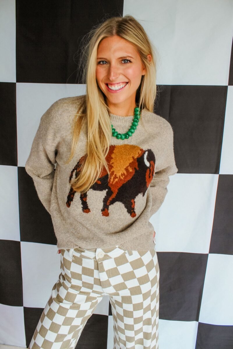 Bison Country Vintage Sweater - Beige Melange